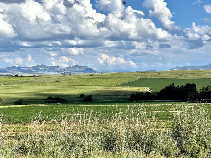 0 Bedroom Property for Sale in Bethlehem Rural Free State